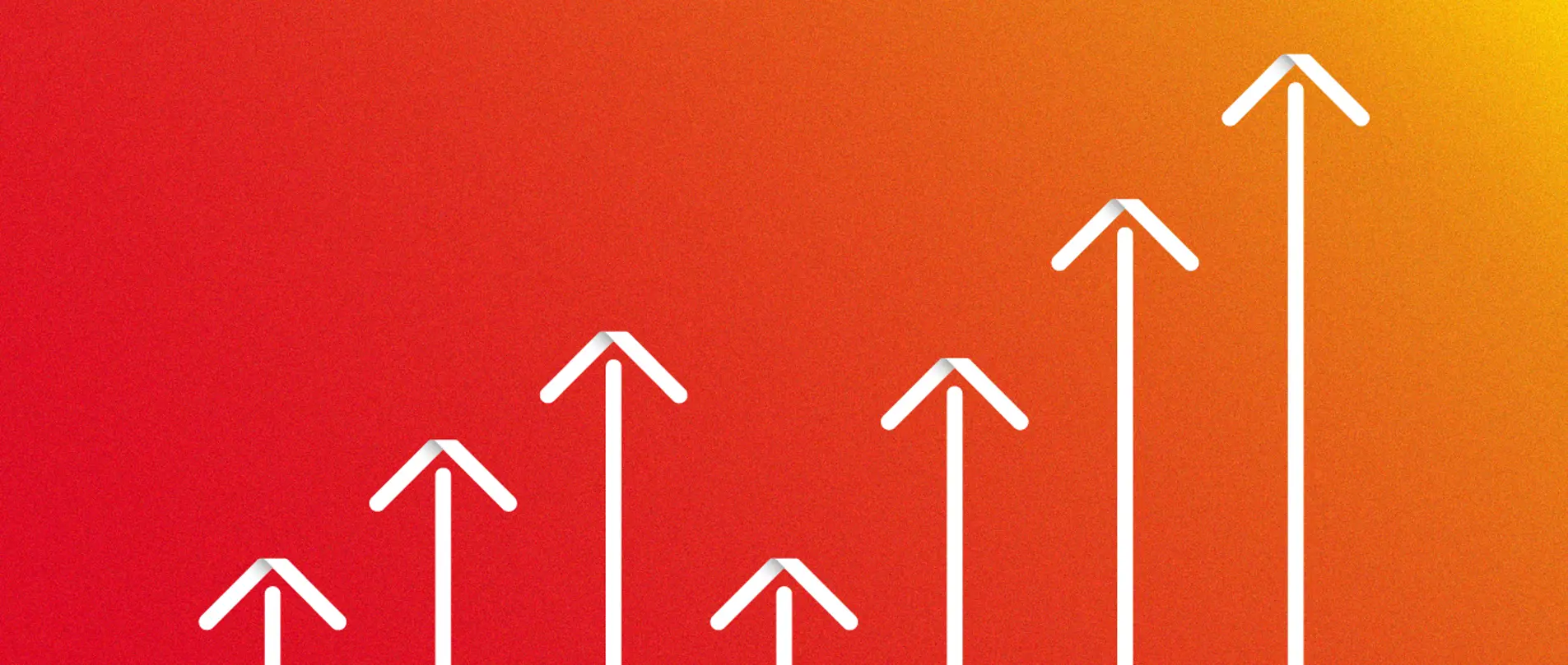 Insights Hero