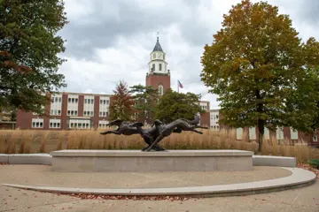 Picture1