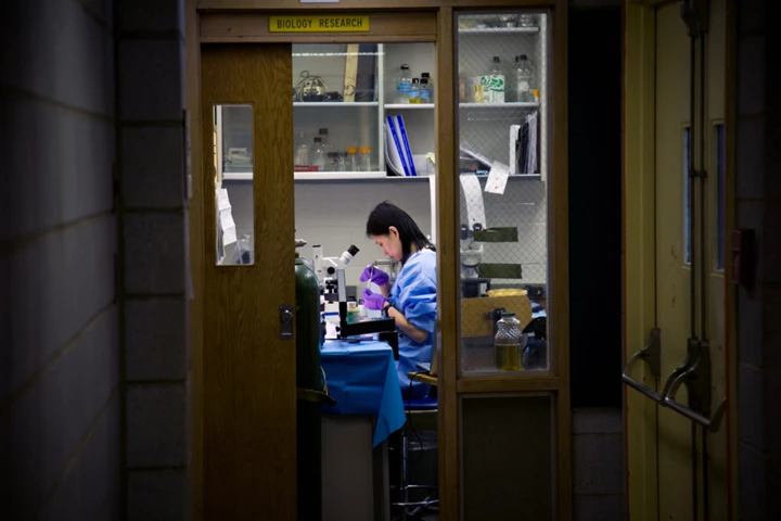 INTO DREW Female Student Doing Biology Research With Microscope Inside Lab Room 28124 1024X682