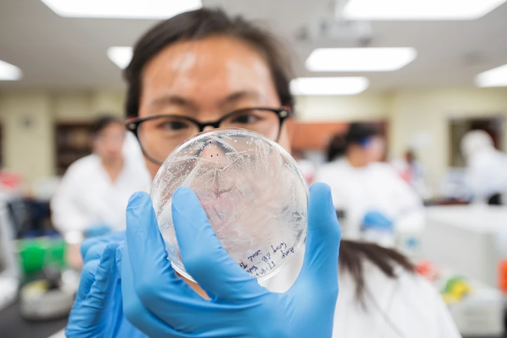 UAB Health Student In Biotechnology Lab 43989